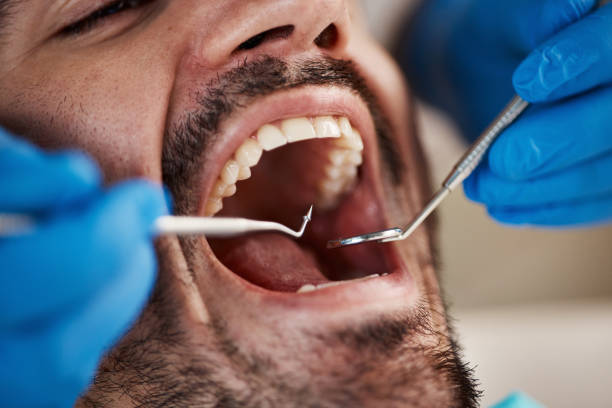 Best Orthodontic Emergency Dentist in Fowler, MI